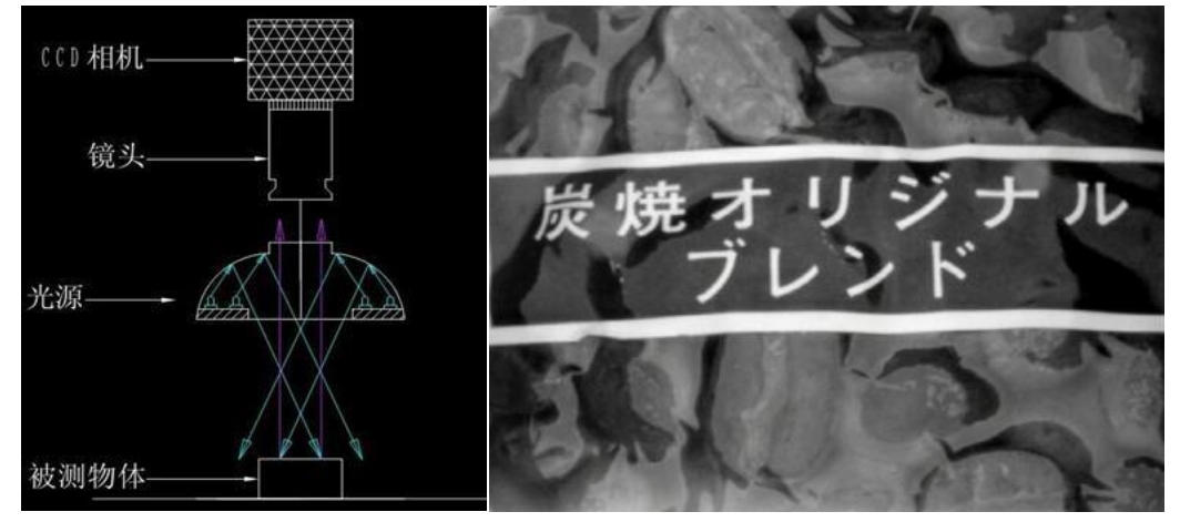 微信截圖_2024051試試7095735.png
