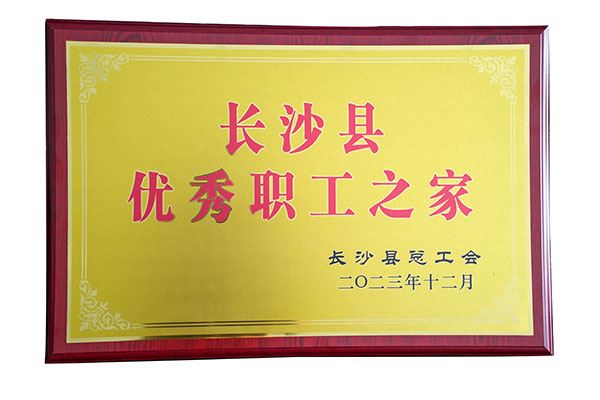 頂立工會榮獲“長沙縣優秀職工之家”稱號.jpg